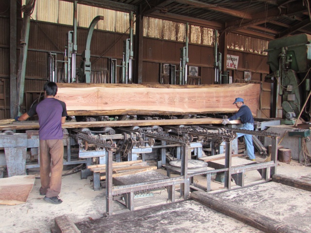 杉（スギ）　製材