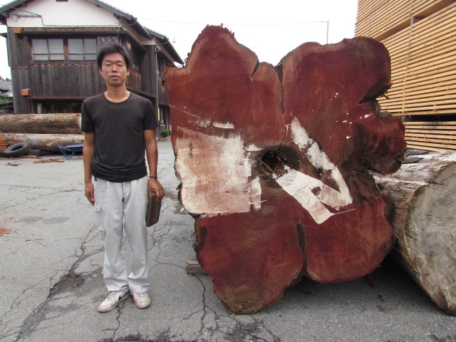 米杉（ベイスギ）　丸太