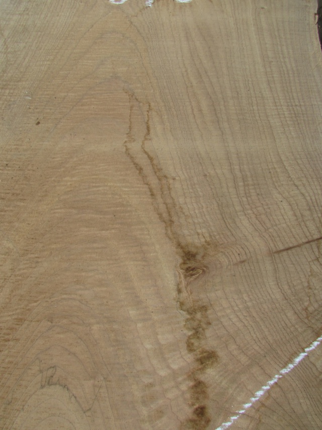 栴檀（センダン）　一枚板