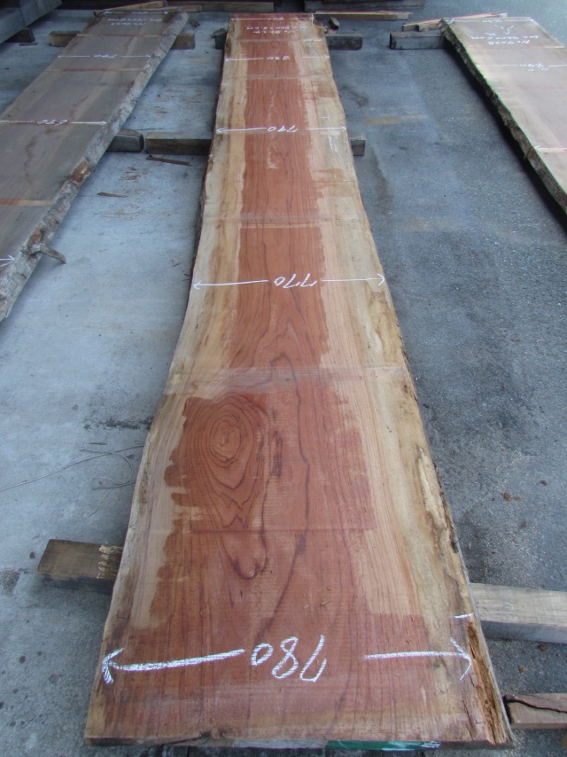 エビアラ　一枚板