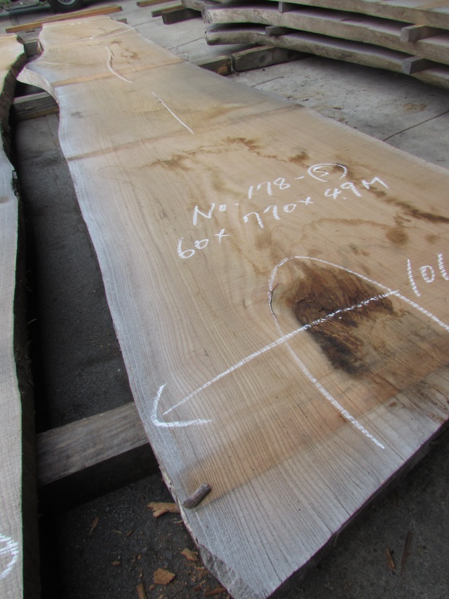 栴檀（センダン）　一枚板