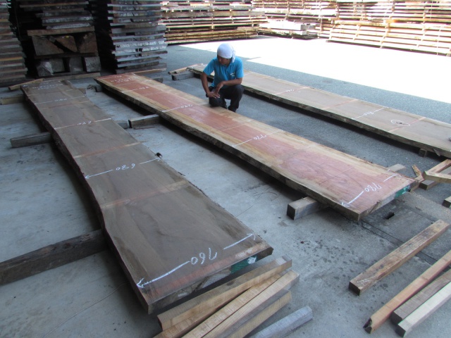 エビアラ　一枚板