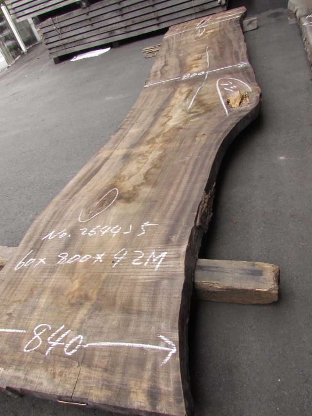 楠（クス）　一枚板