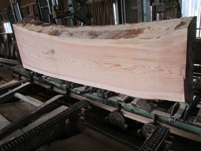 杉（スギ）　一枚板