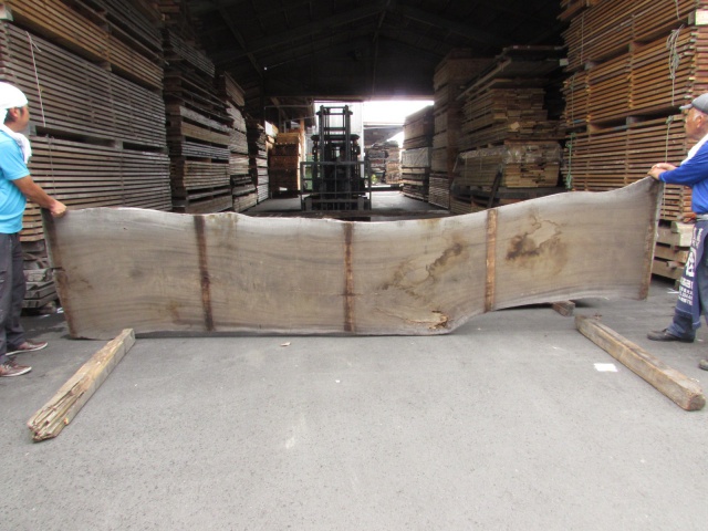 楠（クス）　一枚板