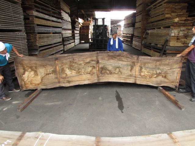 楠（クス）　一枚板