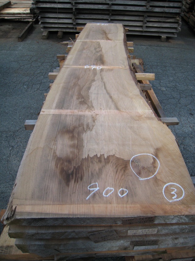 杉（スギ）　一枚板