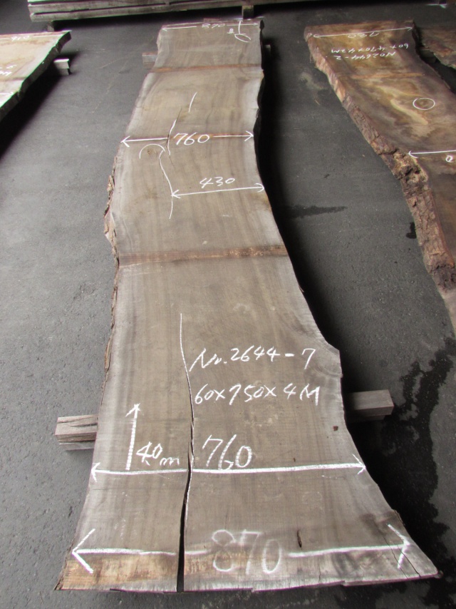 楠（クス）　一枚板