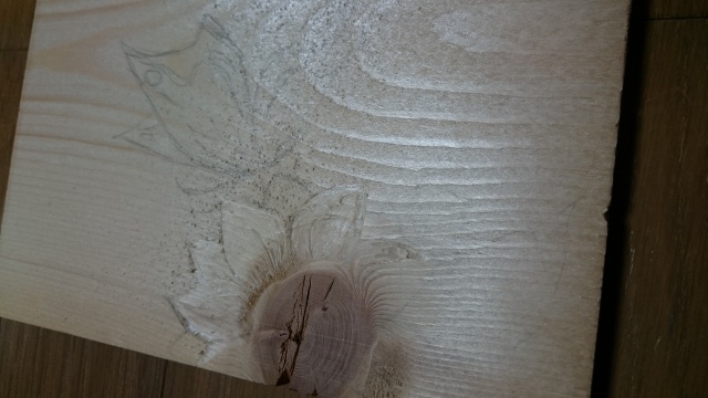 木材見本　森の文庫本