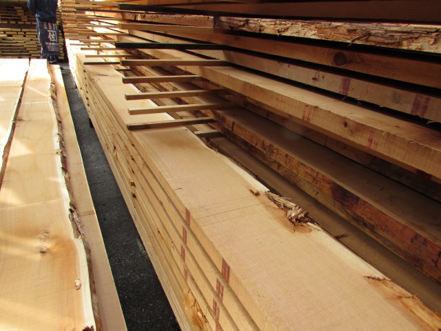 米杉（ベイスギ）　無垢材