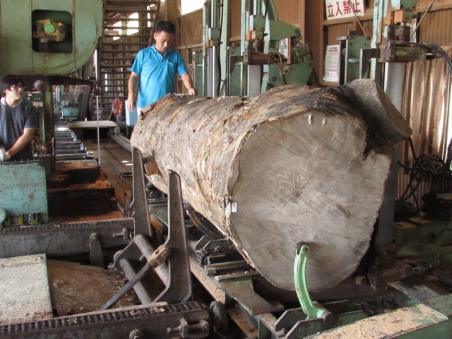 榎（エノキ）　無垢材