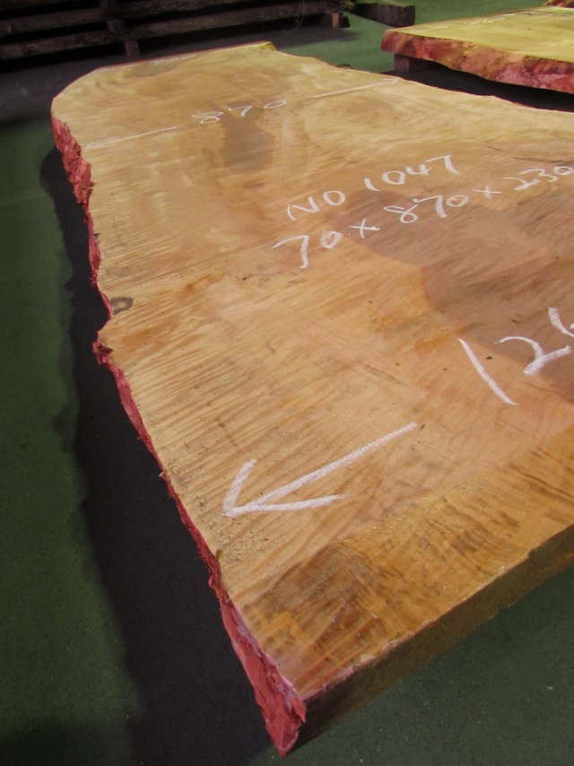 栃（トチ）　一枚板