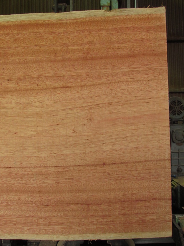 カロフィルム　無垢材