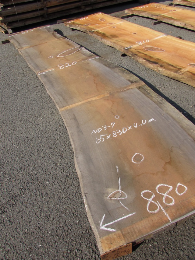 肥松（コエマツ）　一枚板