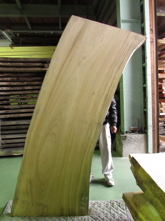 楠（クス）　一枚板