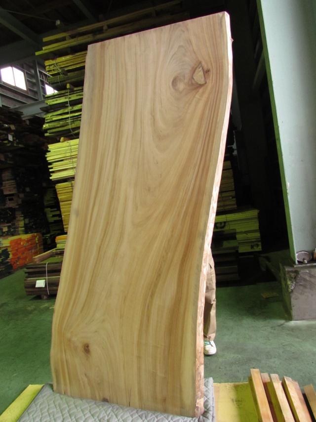 楠（クス）　一枚板