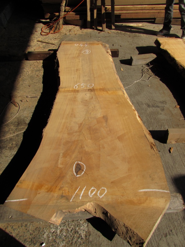 栃（トチ）　一枚板