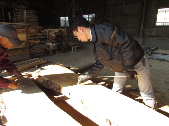 栃（トチ）　一枚板