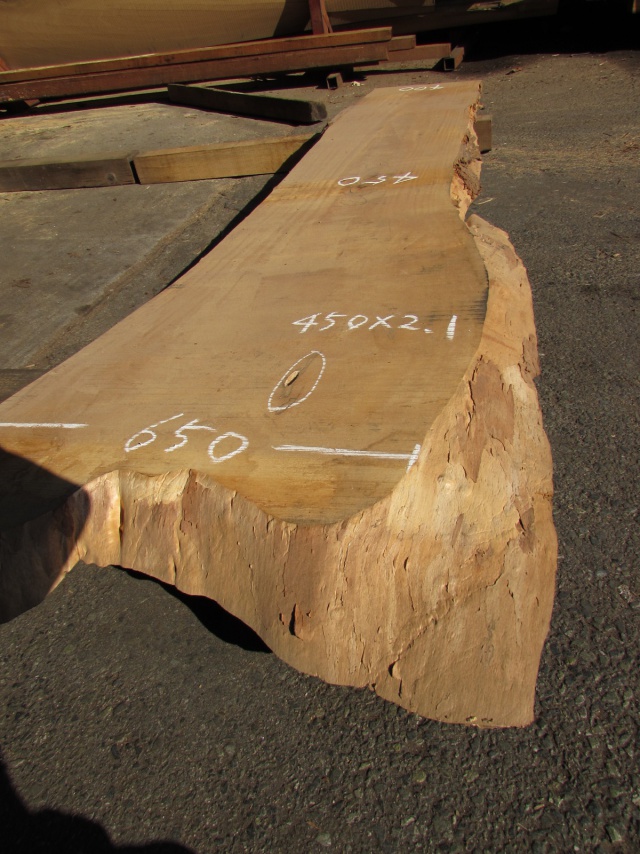 栃（トチ）　一枚板