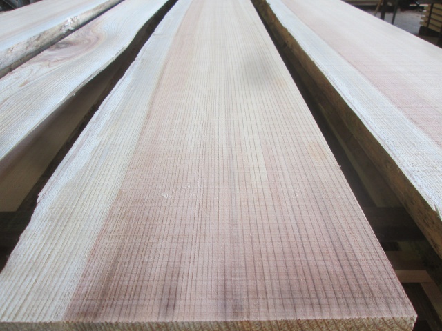 スプルース　無垢材