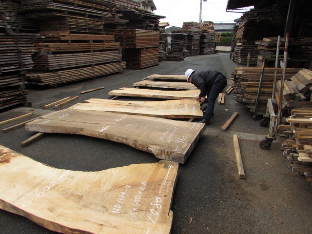 栃（トチ）　一枚板