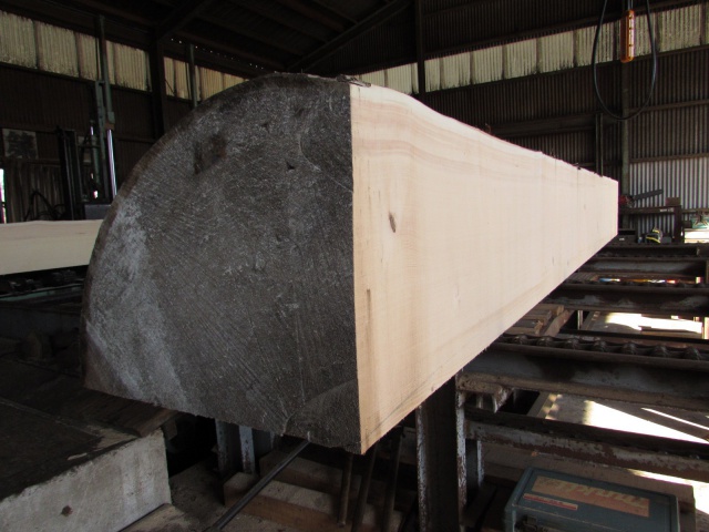 スプルース　無垢材