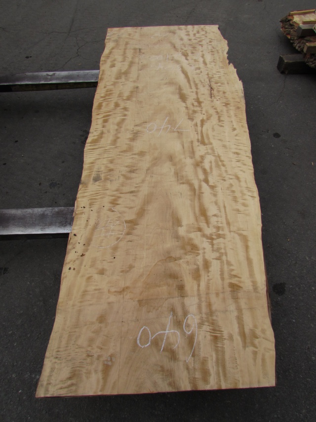 栃（トチ）　一枚板