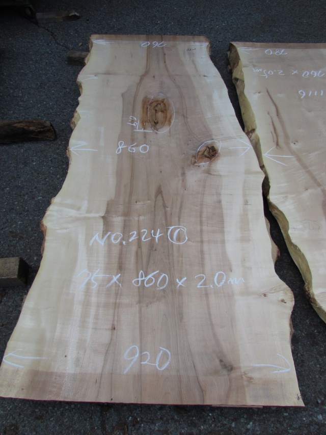 栃（トチ）　一枚板