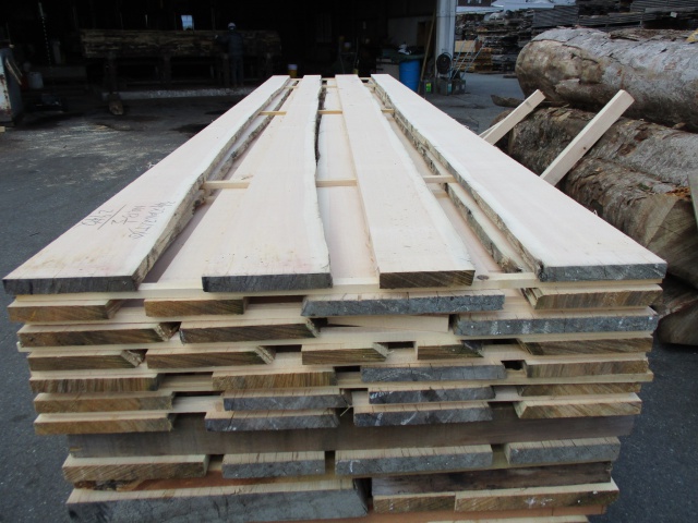 スプルース　無垢材