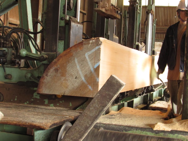 米松（ベイマツ）　製材