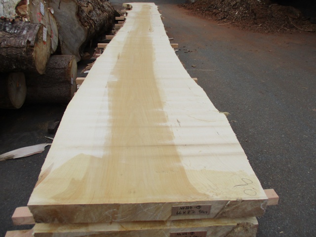 銀杏（イチョウ）　無垢材