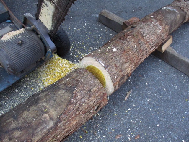 櫨（ハゼ）　無垢材