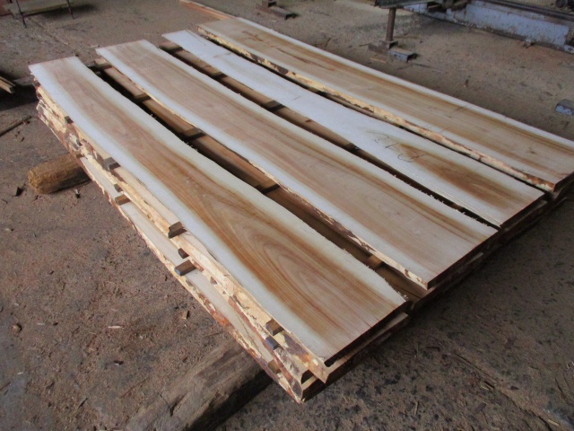 朱里（シウリ）　無垢材