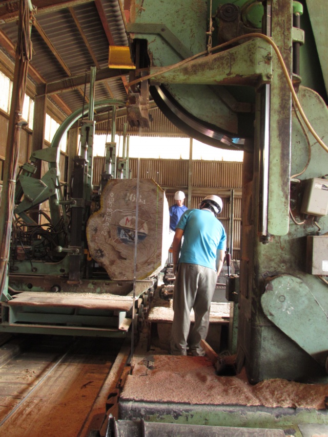 米松（ベイマツ）　無垢材