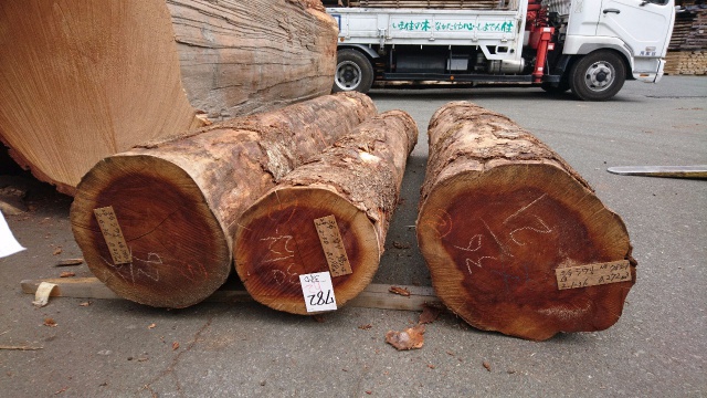 朱里（シウリ）　無垢材