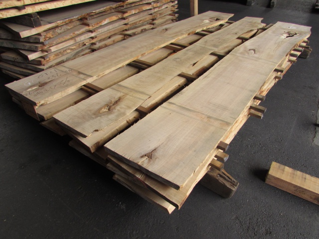 目白樺（メジロカバ）　 無垢材