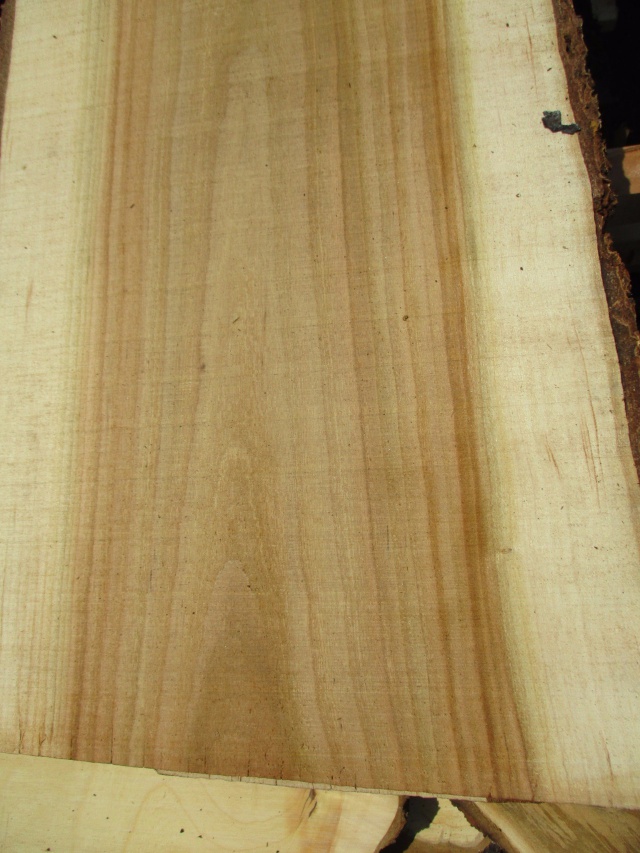 朱里（シウリ）　無垢材