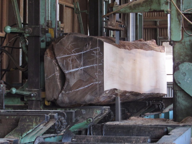 楓（カエデ）　無垢材