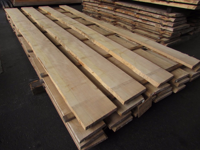 目白樺（メジロカバ）　 無垢材