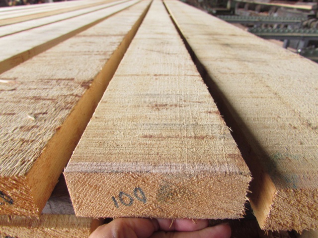 米檜葉（ベイヒバ）　無垢材