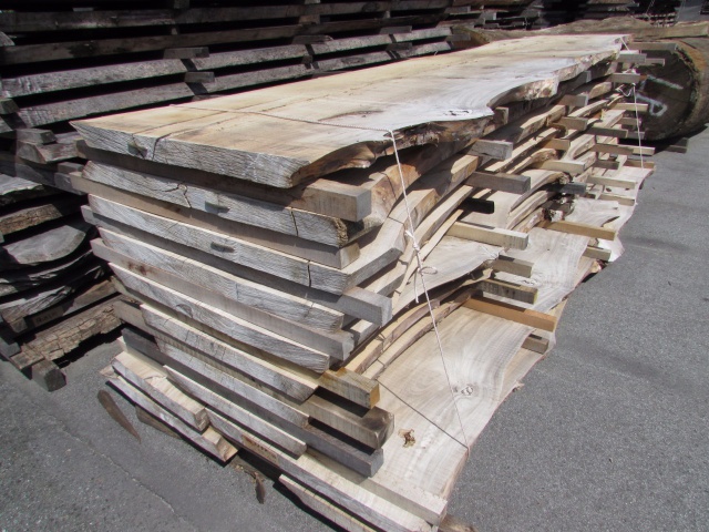 楡（ニレ）　無垢材