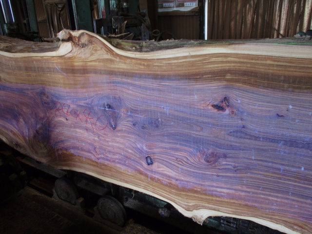 楡（ニレ）　無垢材