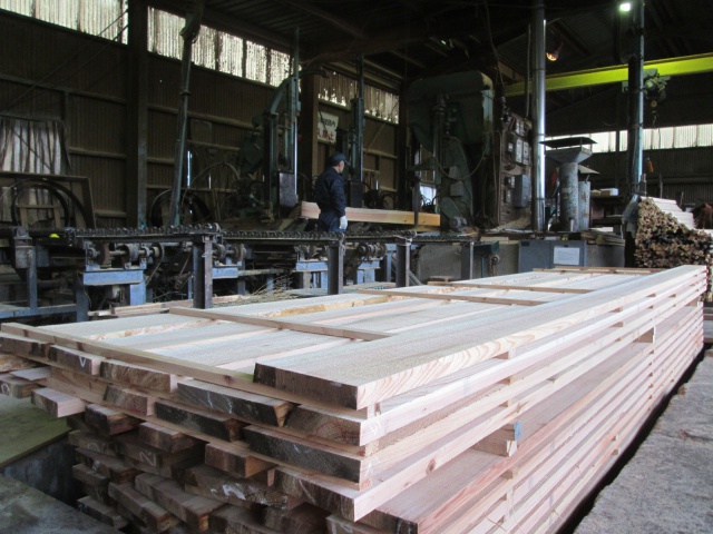 杉（スギ）　無垢材