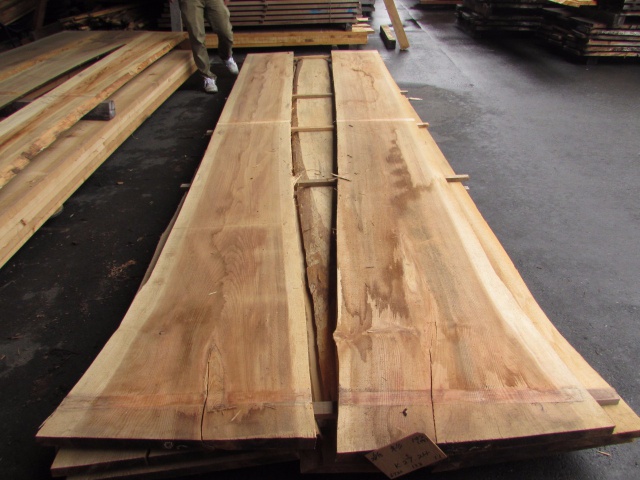 杉（スギ）　無垢材