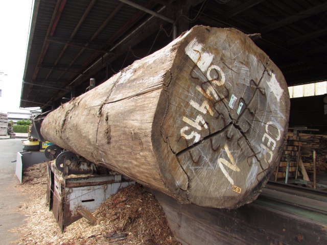 ペンシルシダー　無垢材