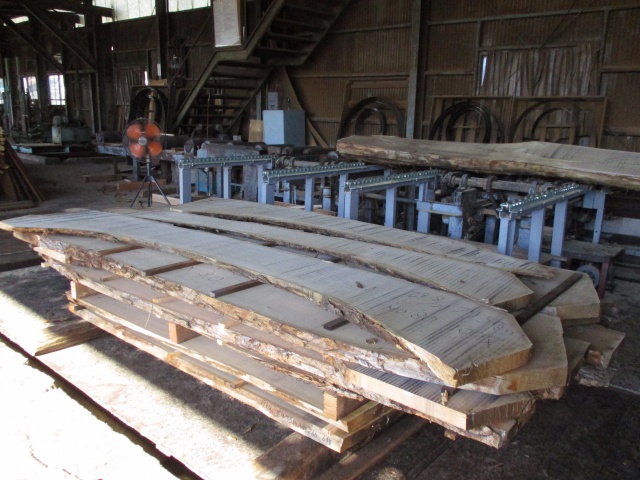 栗（クリ）　無垢材