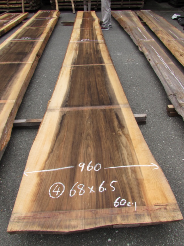 杉（スギ）　一枚板