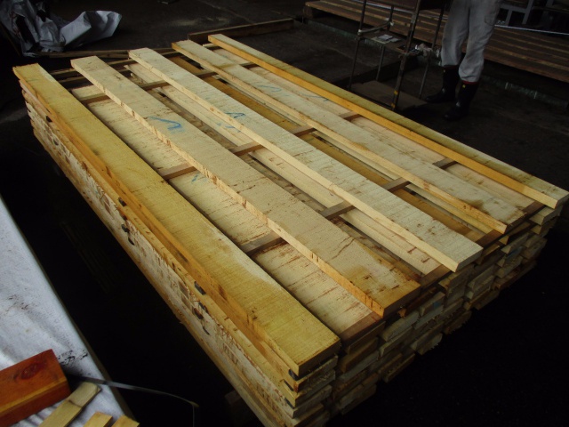 米檜葉（ベイヒバ）　無垢材