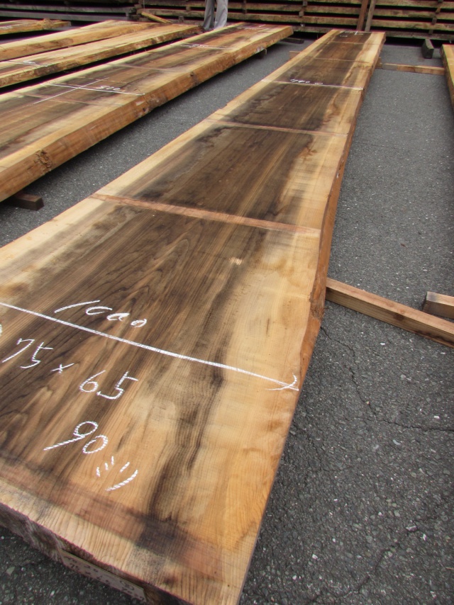 杉（スギ）　一枚板