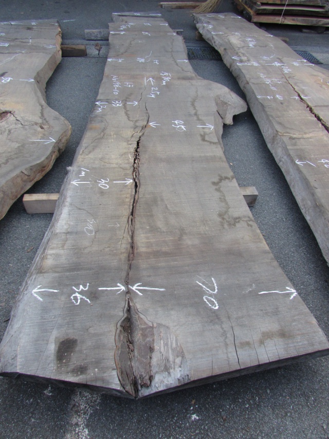 栃（トチ）　一枚板